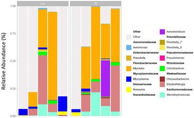 Probiotics in milk replacer affect the microbiome of the lung in neonatal dairy calves